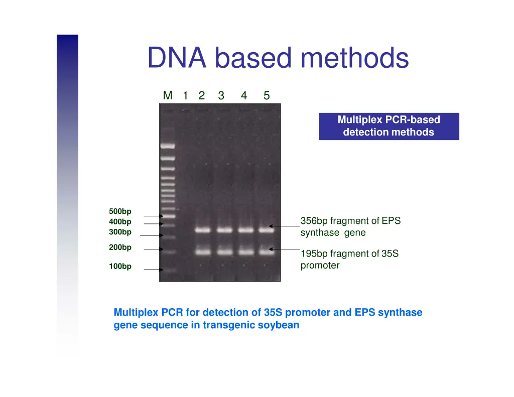 dna based methods 11