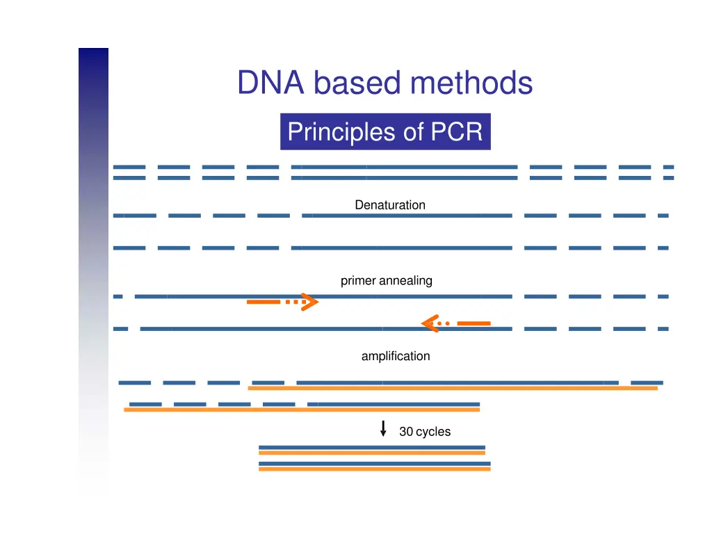 dna based methods 3