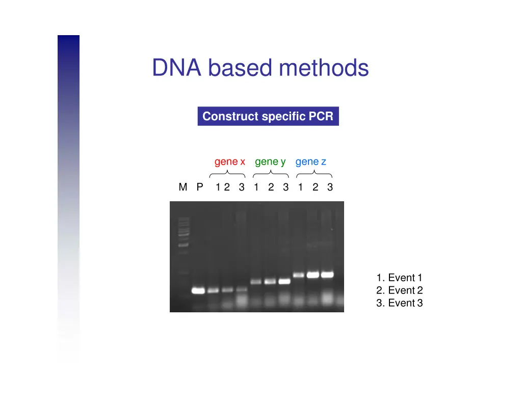 dna based methods 6