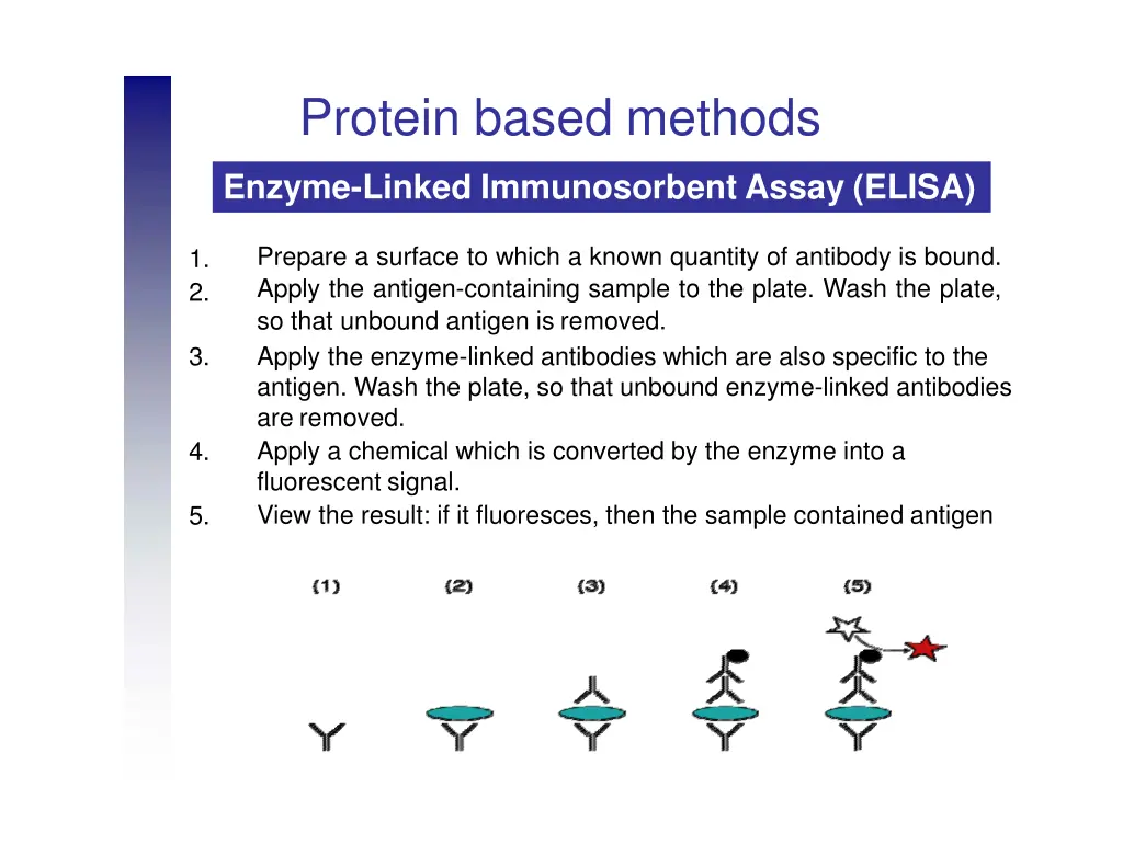 protein based methods 3