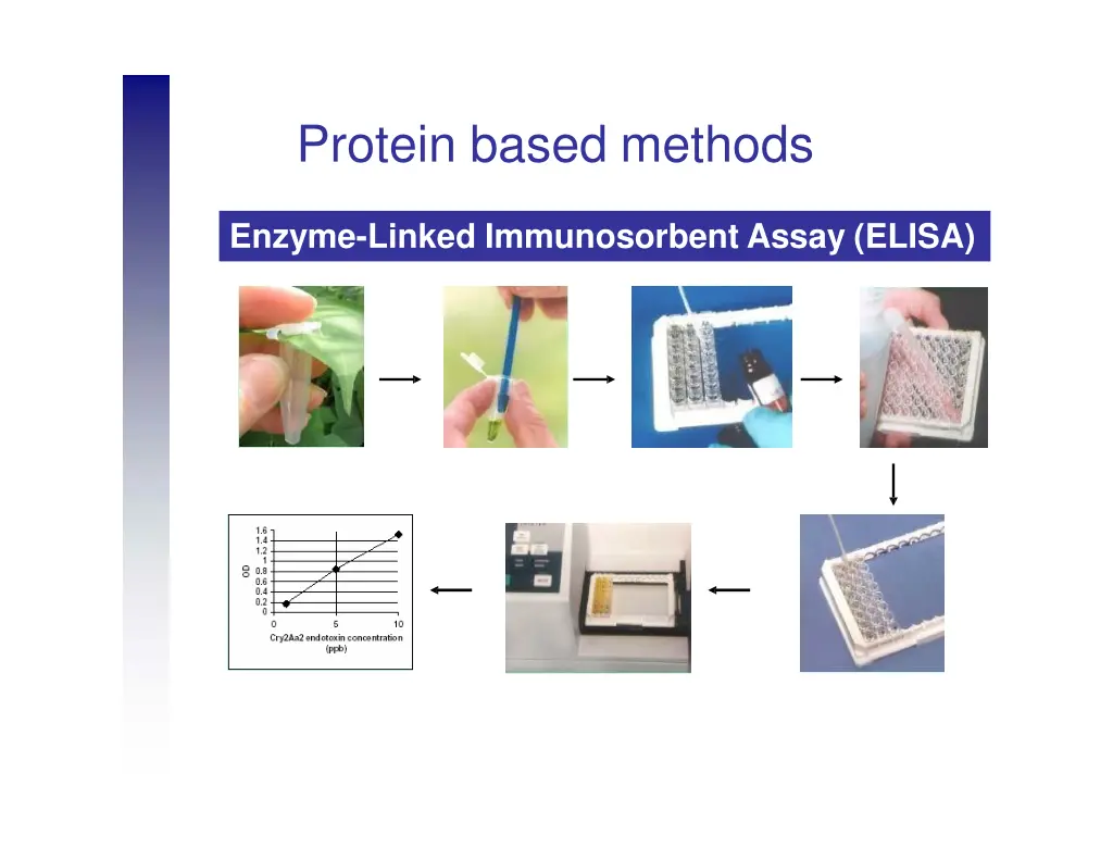 protein based methods 4