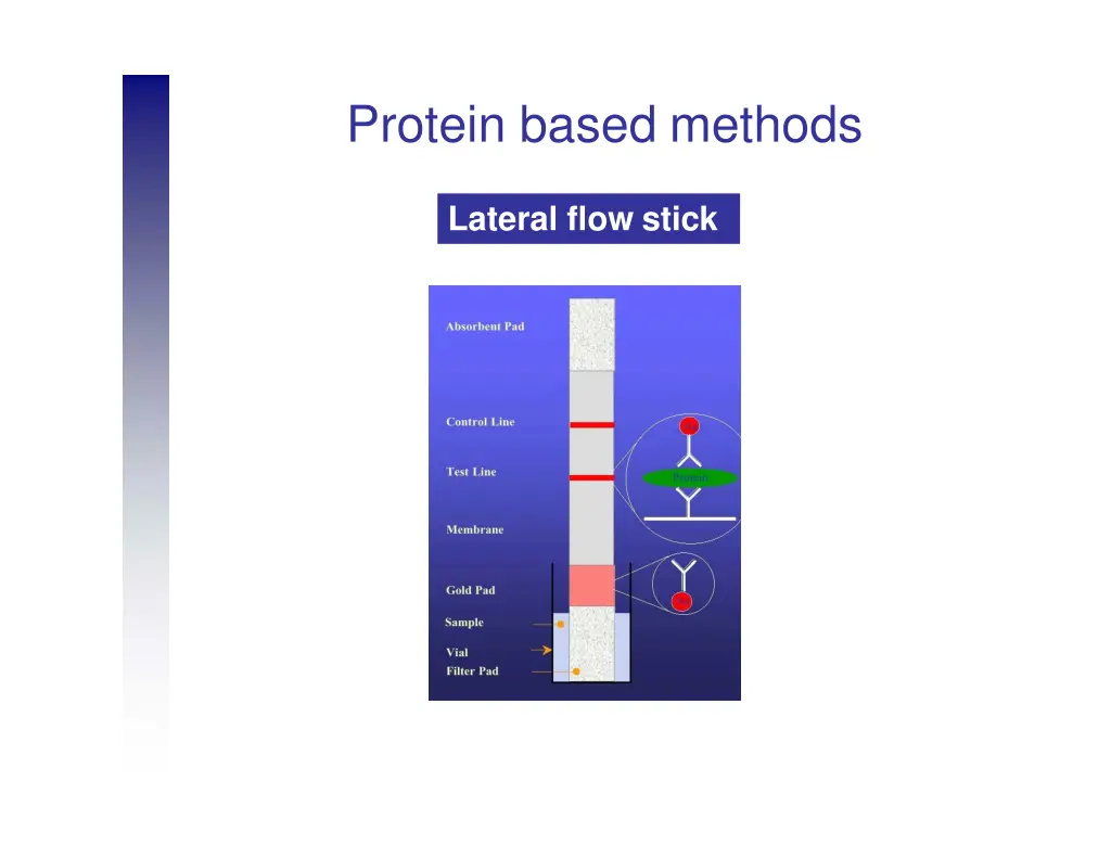 protein based methods 6