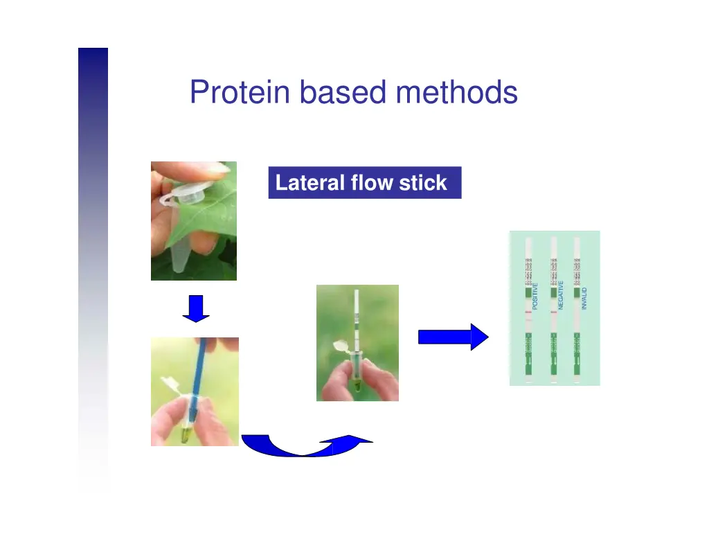 protein based methods 8