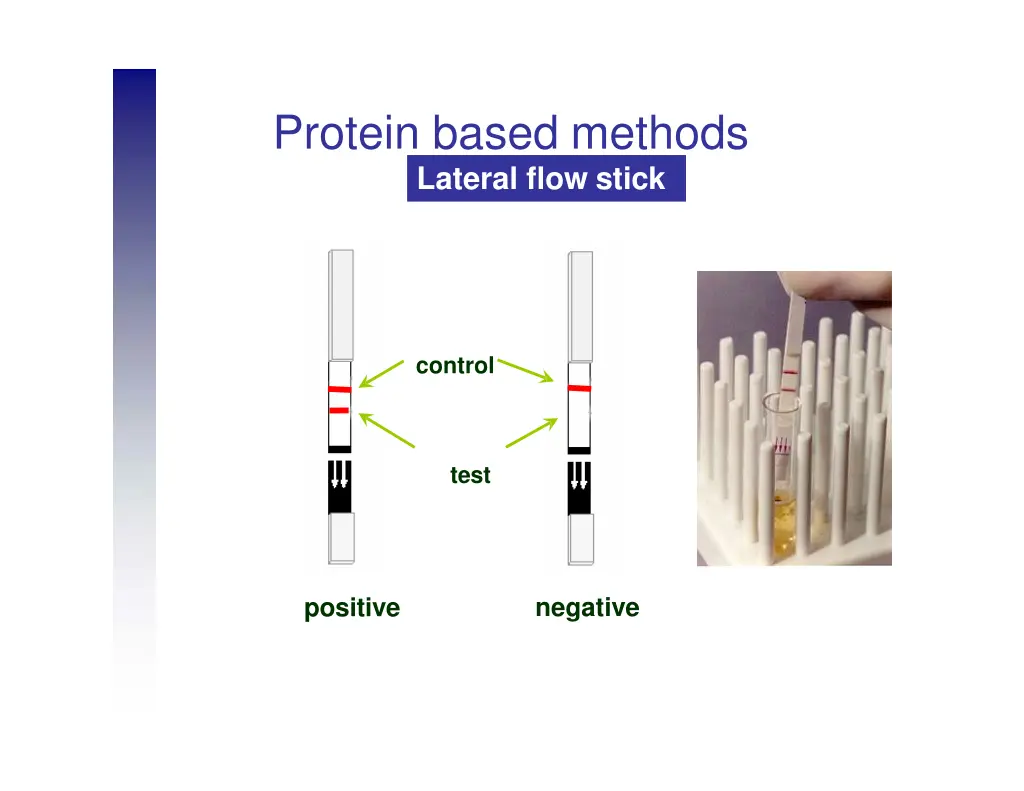 protein based methods lateral flow stick