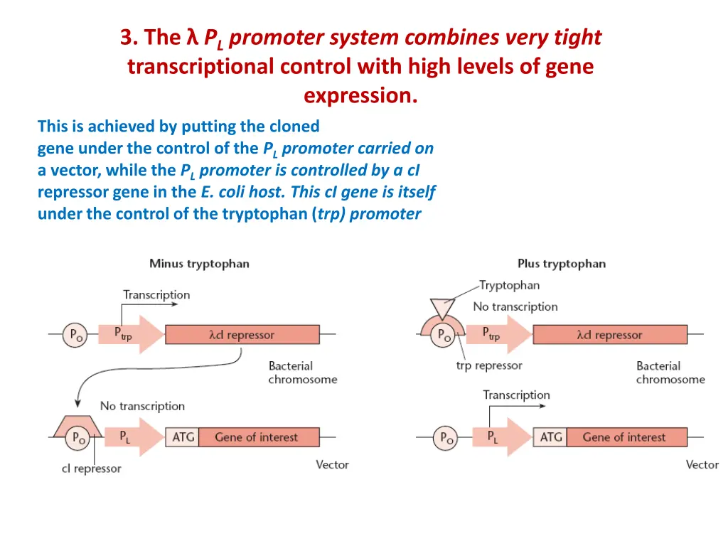 3 the p l promoter system combines very tight