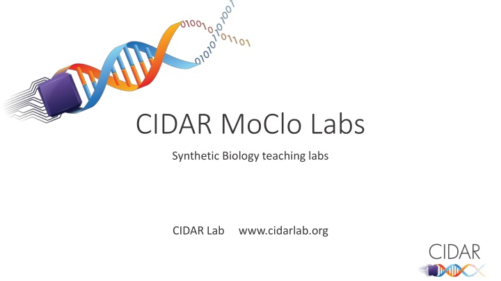 cidar moclo labs