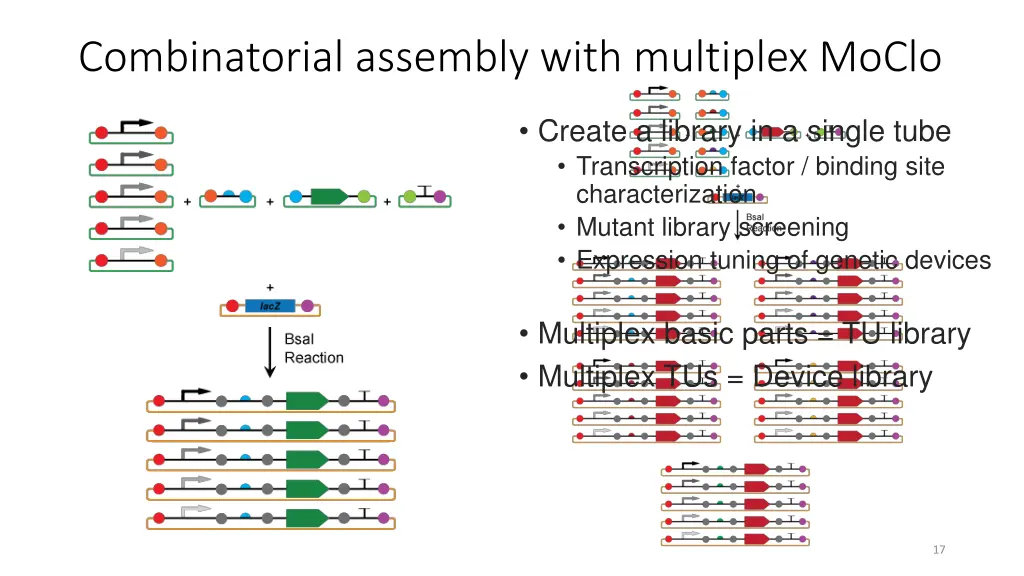 combinatorial assembly with multiplex moclo