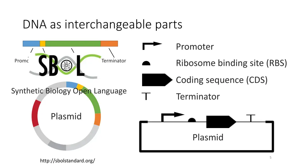 dna as interchangeable parts