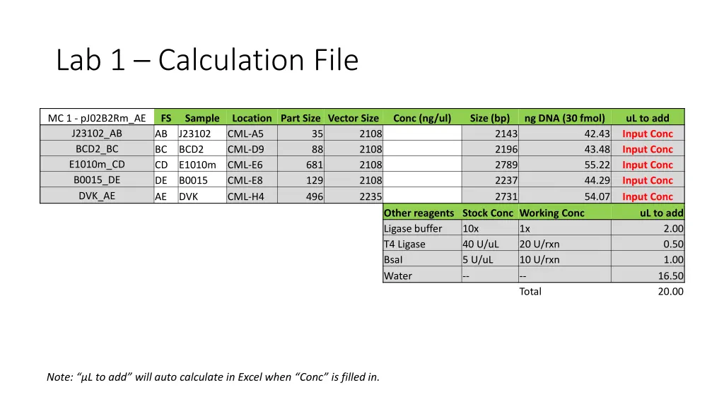 lab 1 calculation file