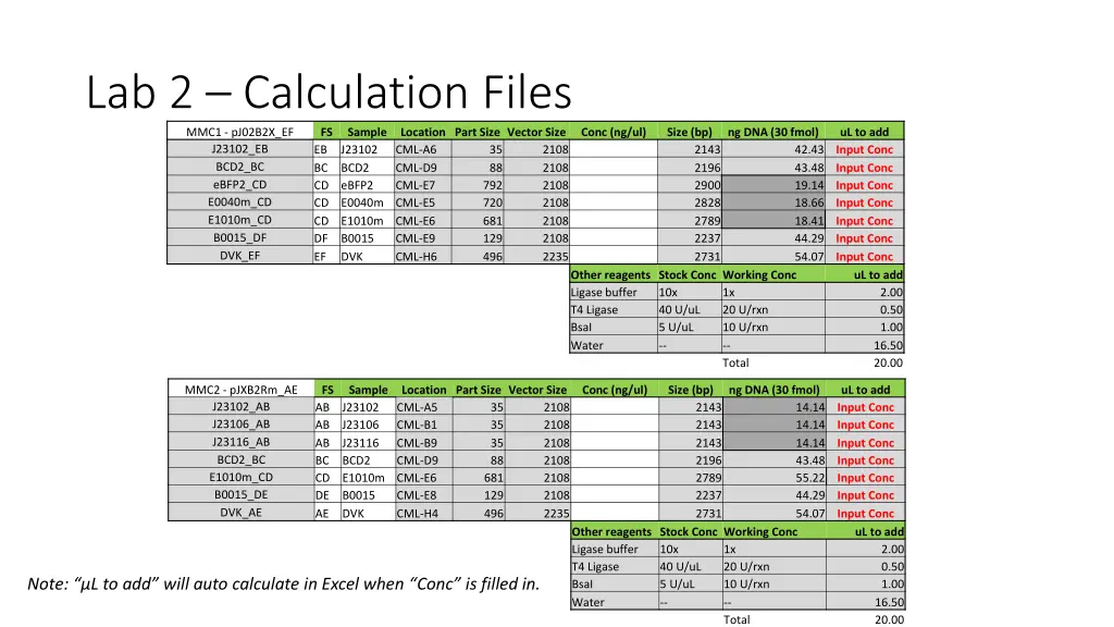 lab 2 calculation files mmc1 pj02b2x ef fs j23102