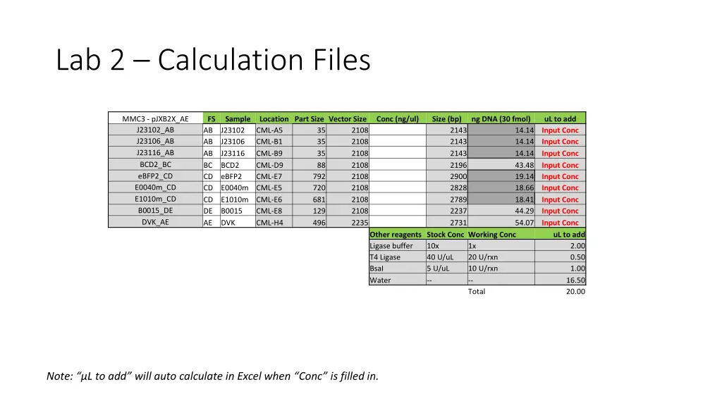 lab 2 calculation files