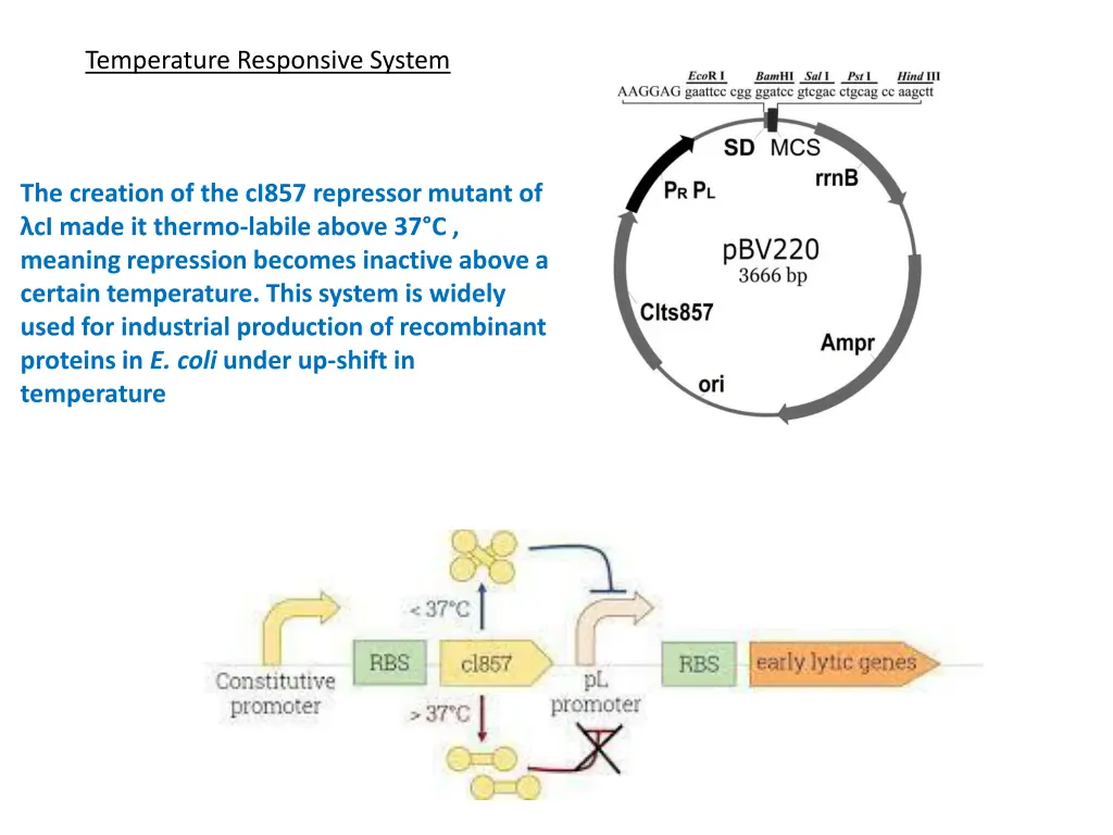 temperature responsive system