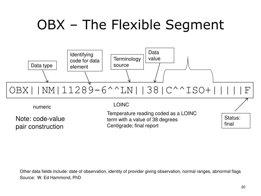 obx the flexible segment