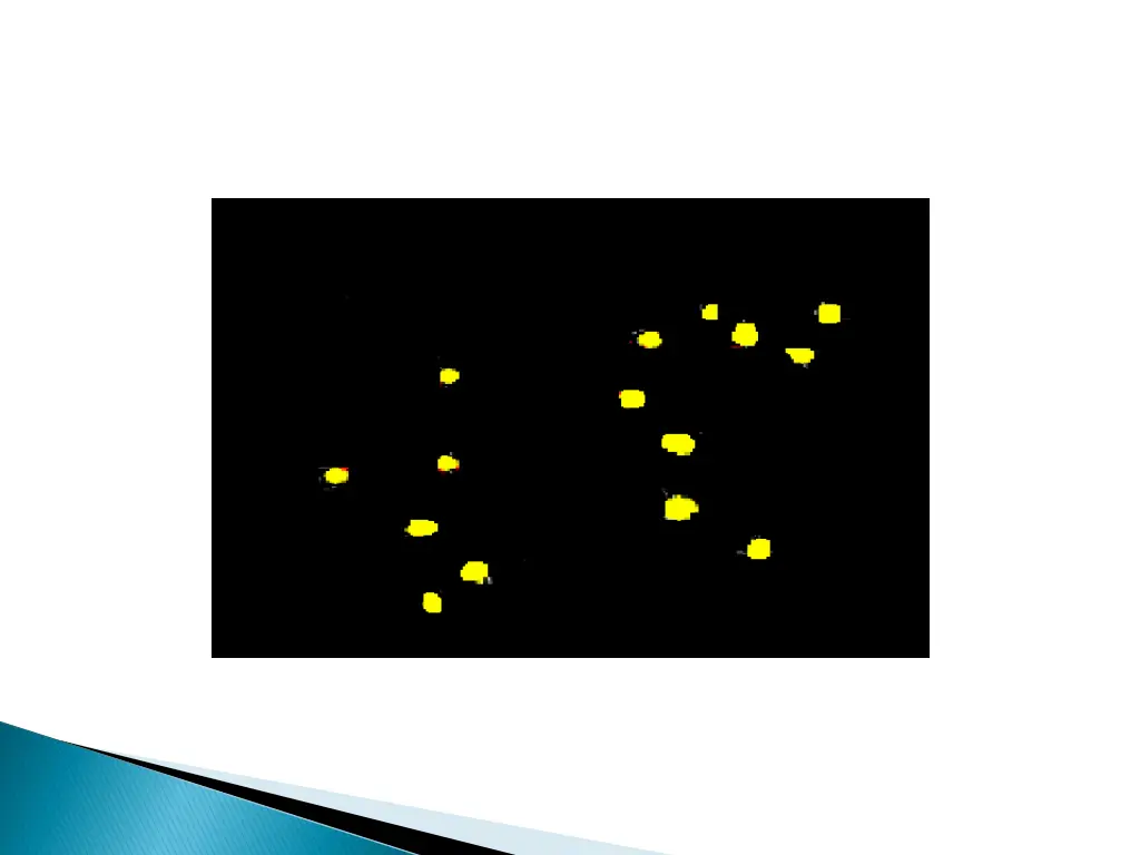 slide19