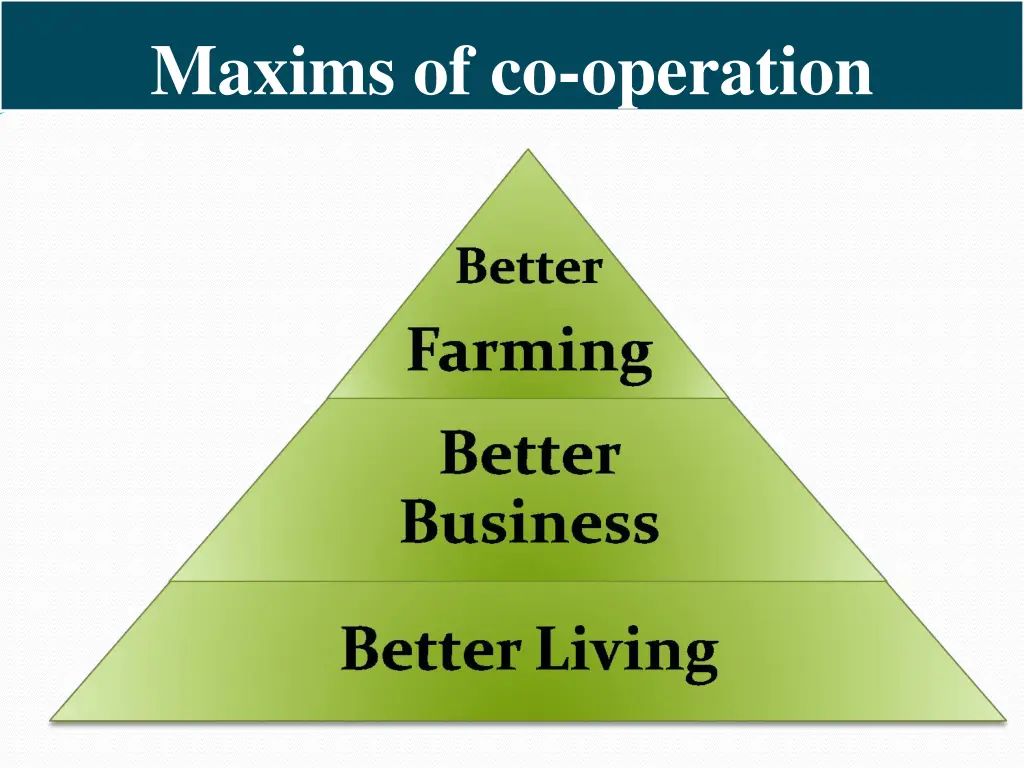 maxims of co operation