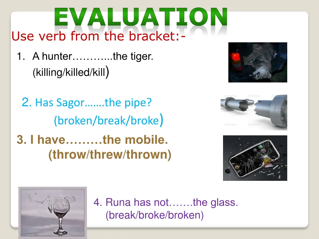 evaluation use verb from the bracket