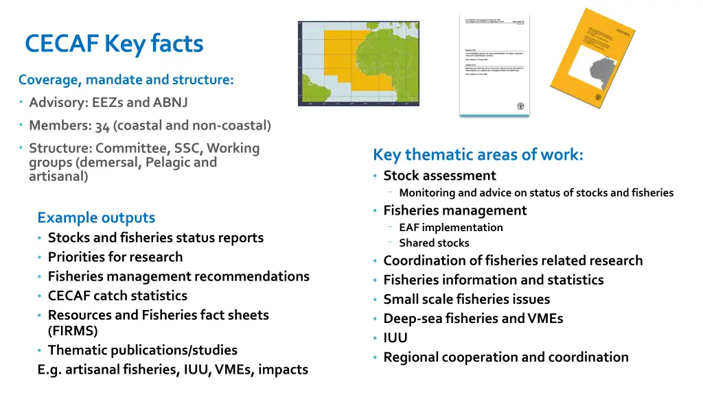 cecaf key facts