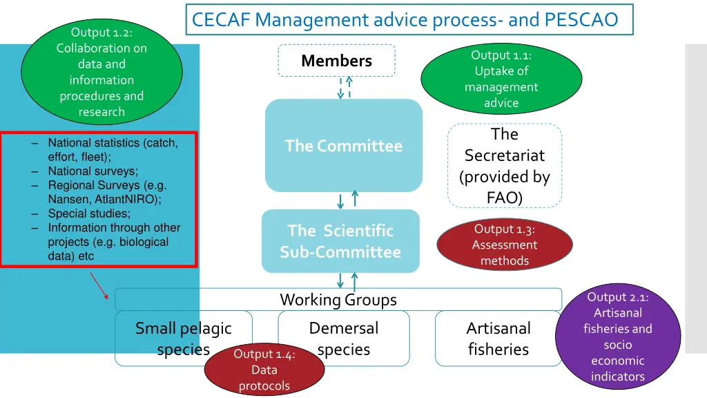 cecaf management advice process and pescao