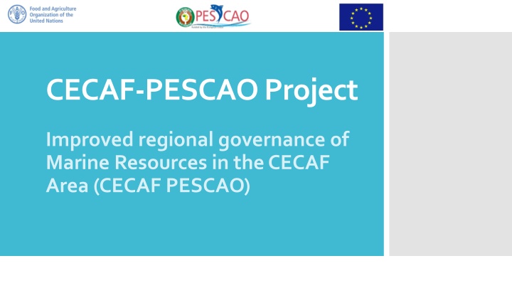 cecaf pescao project