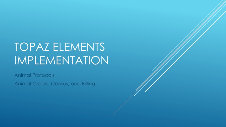 topaz elements implementation