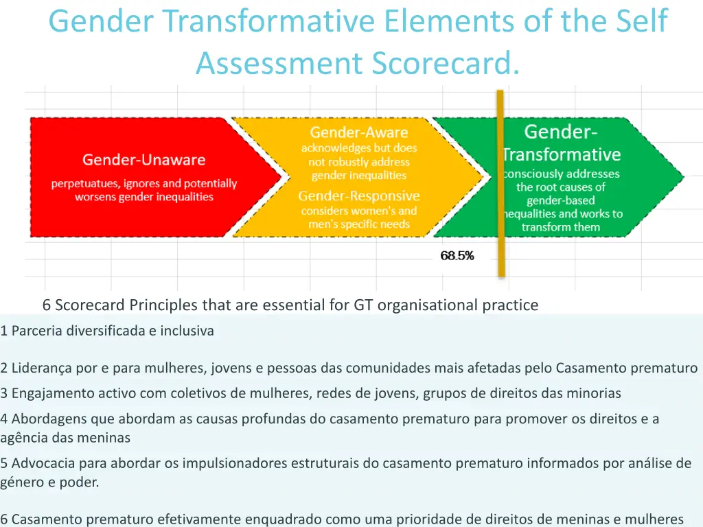 gender transformative elements of the self