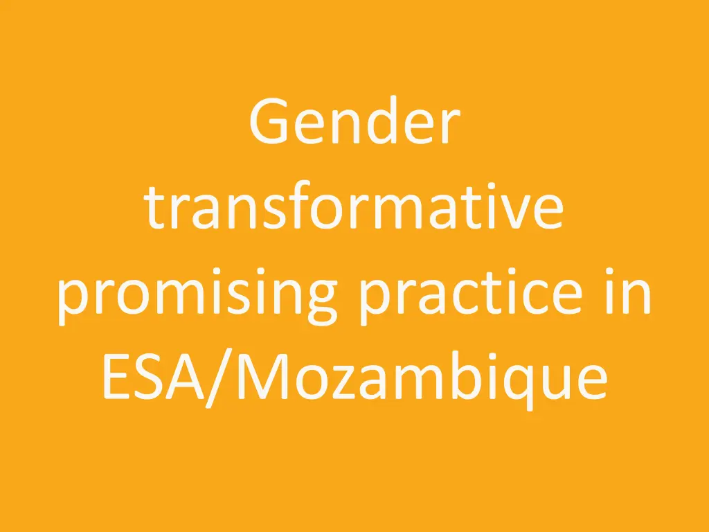 gender transformative promising practice