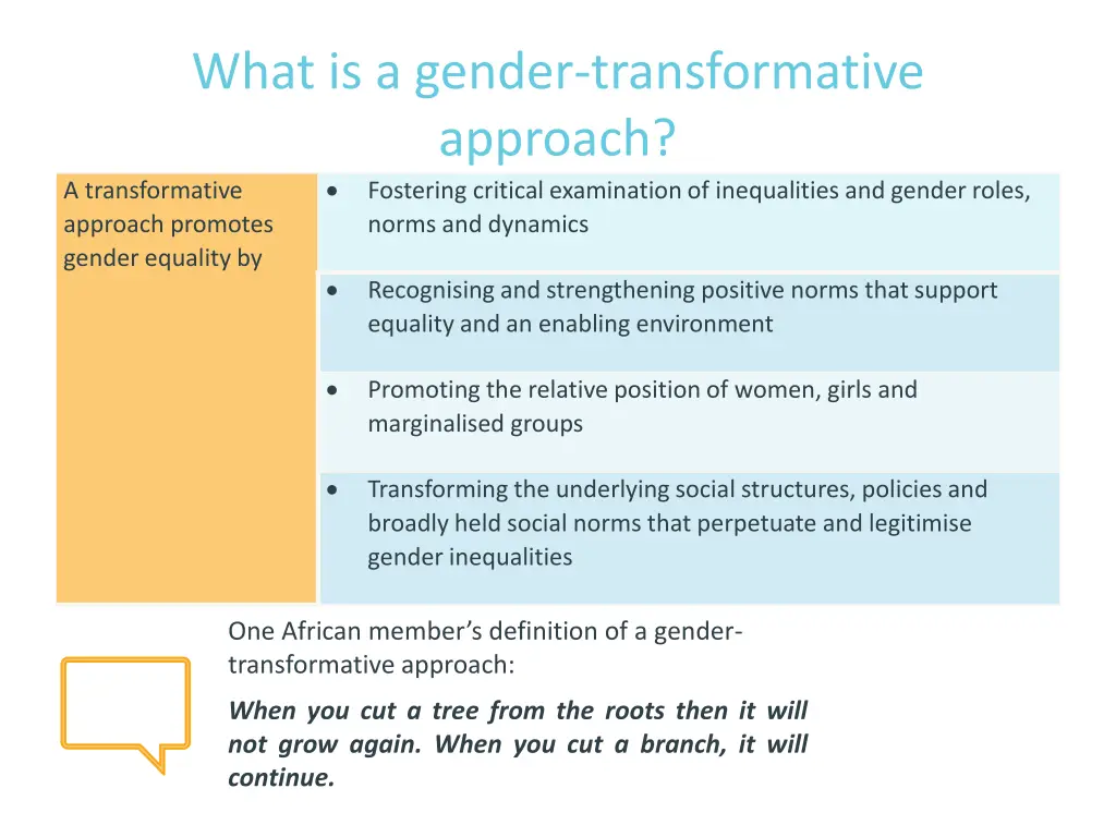 what is a gender transformative approach
