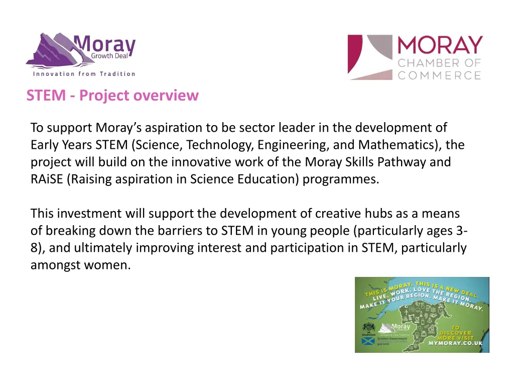 stem project overview