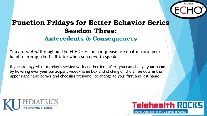 function fridays for better behavior series