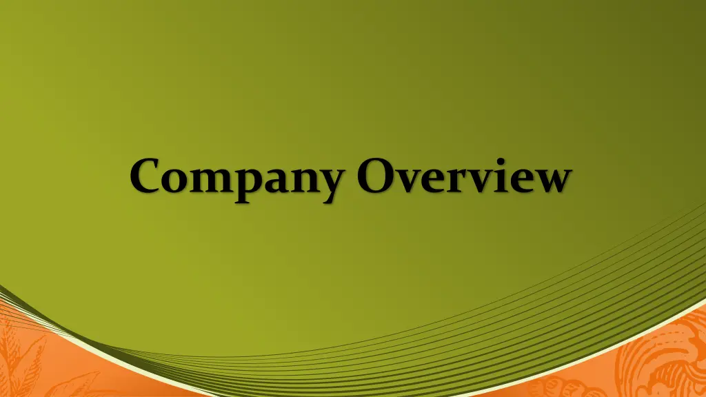 company overview