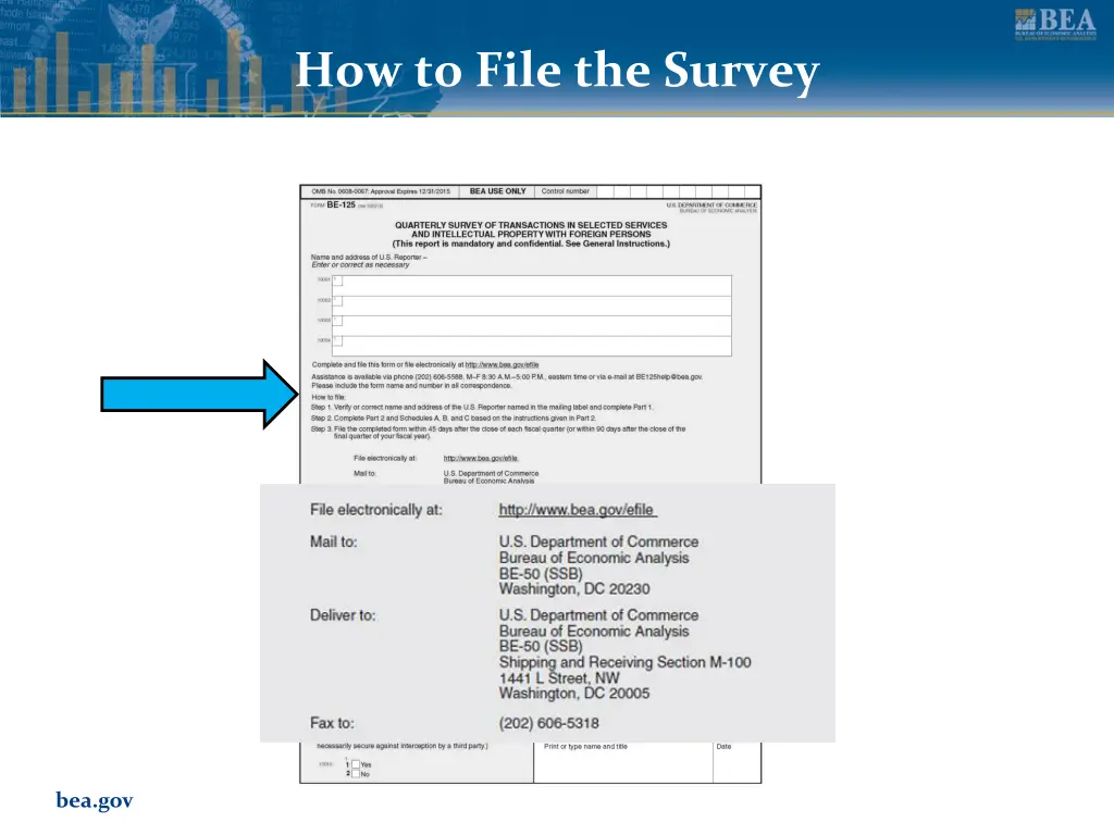 how to file the survey