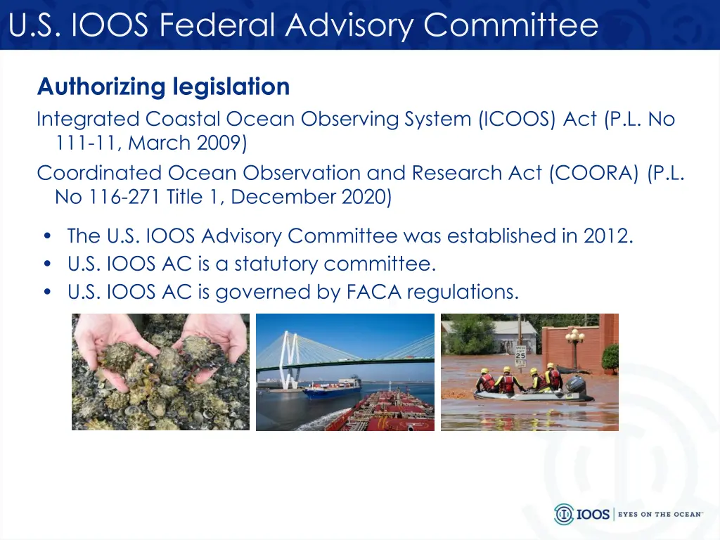 u s ioos federal advisory committee