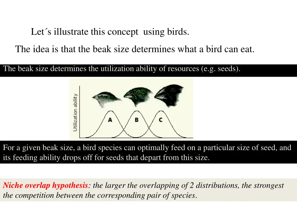 let s illustrate this concept using birds