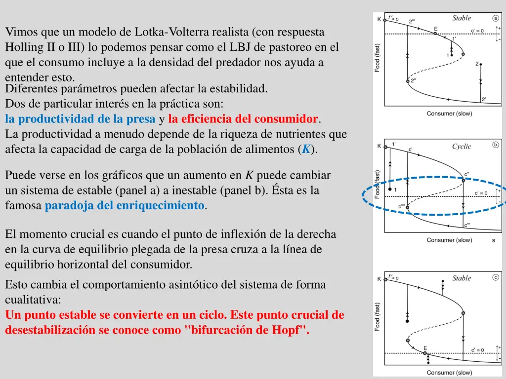 vimos que un modelo de lotka volterra realista