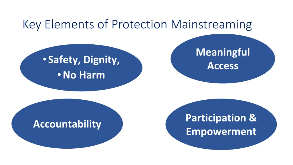 key elements of protection mainstreaming