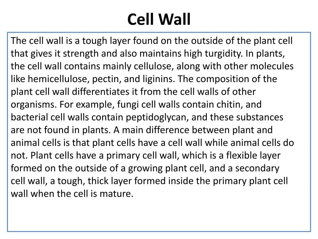 cell wall