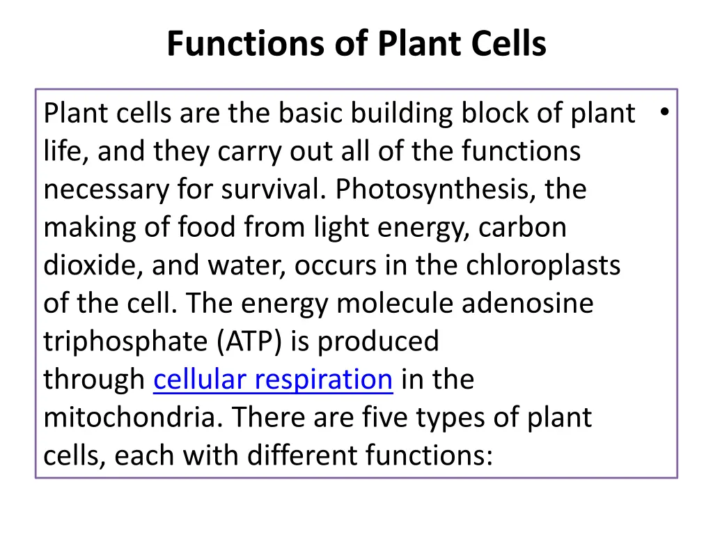 functions of plant cells