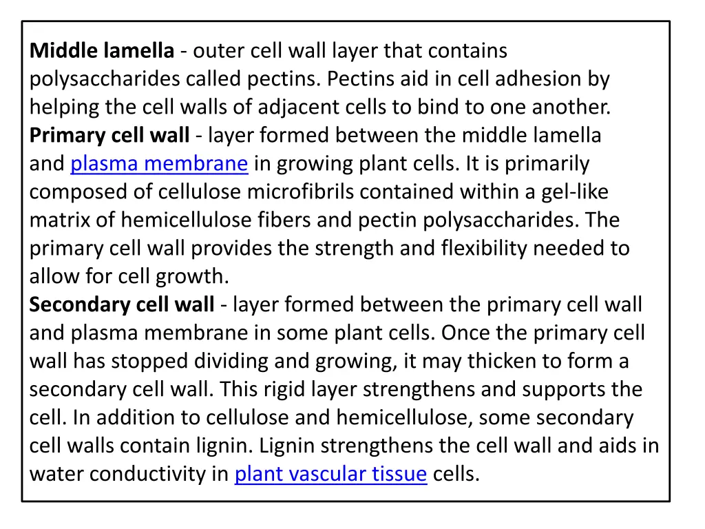 middle lamella outer cell wall layer that