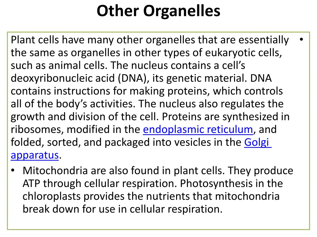 other organelles