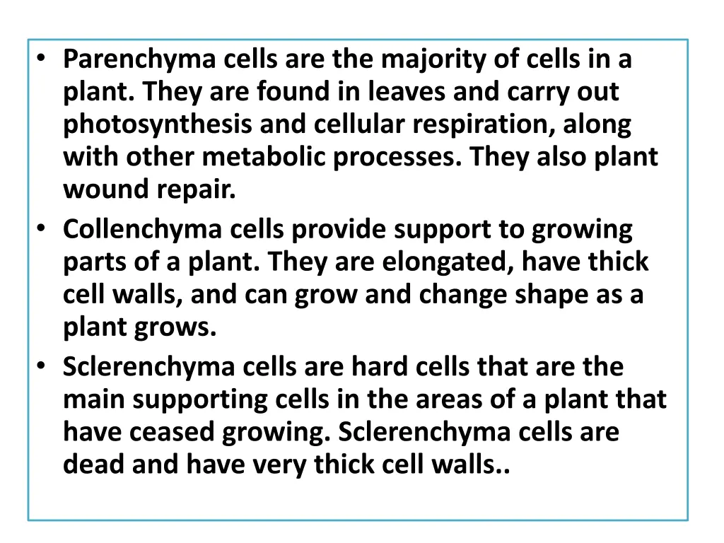 parenchyma cells are the majority of cells