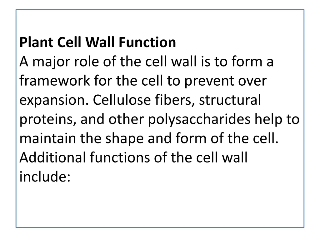 plant cell wall function a major role of the cell