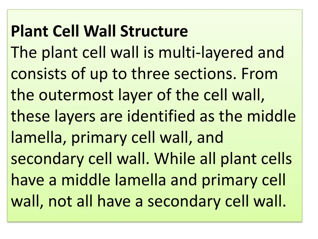 plant cell wall structure the plant cell wall