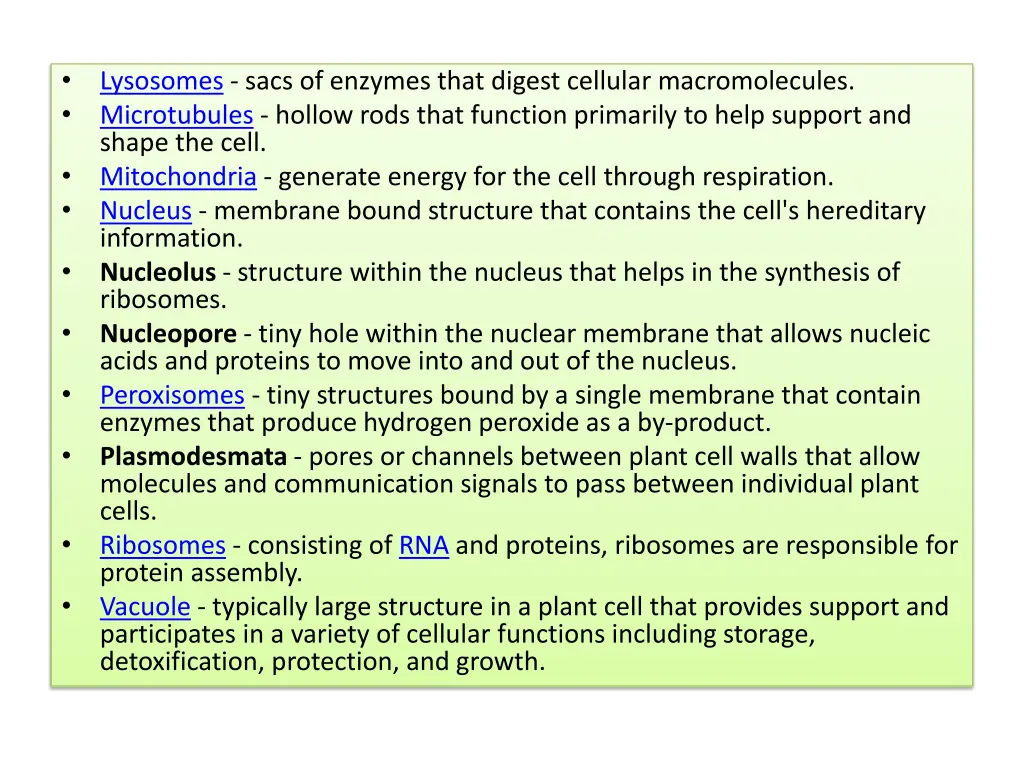 slide19