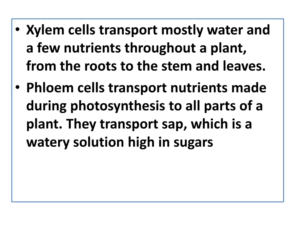 xylem cells transport mostly water