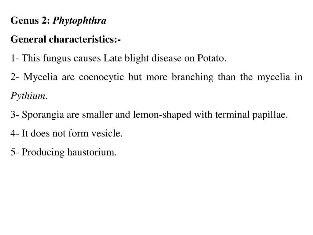 genus 2 phytophthra