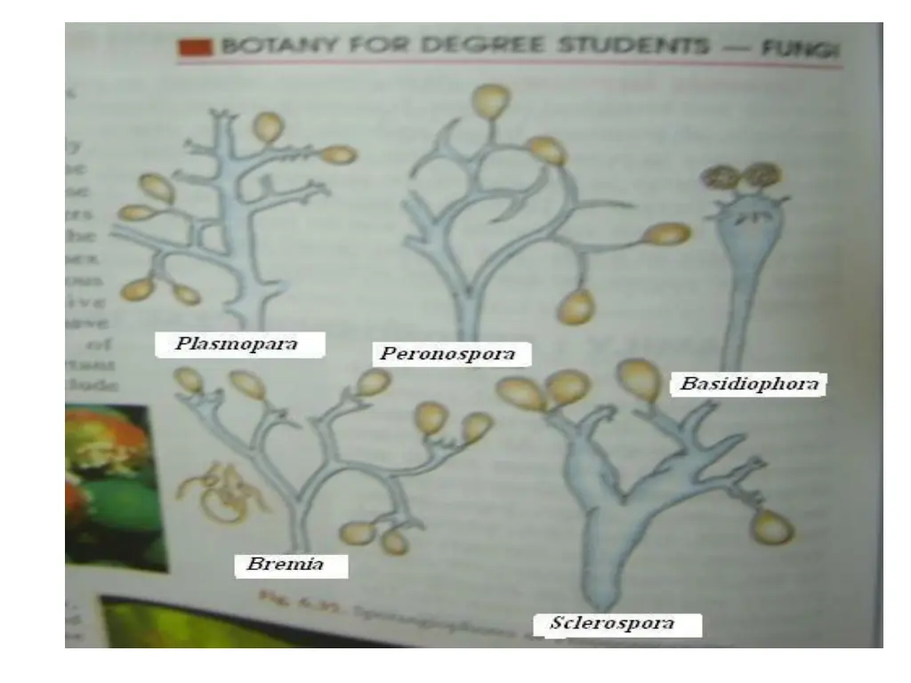 slide15