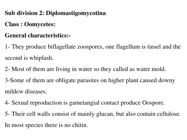 sub division 2 diplomastigomycotina