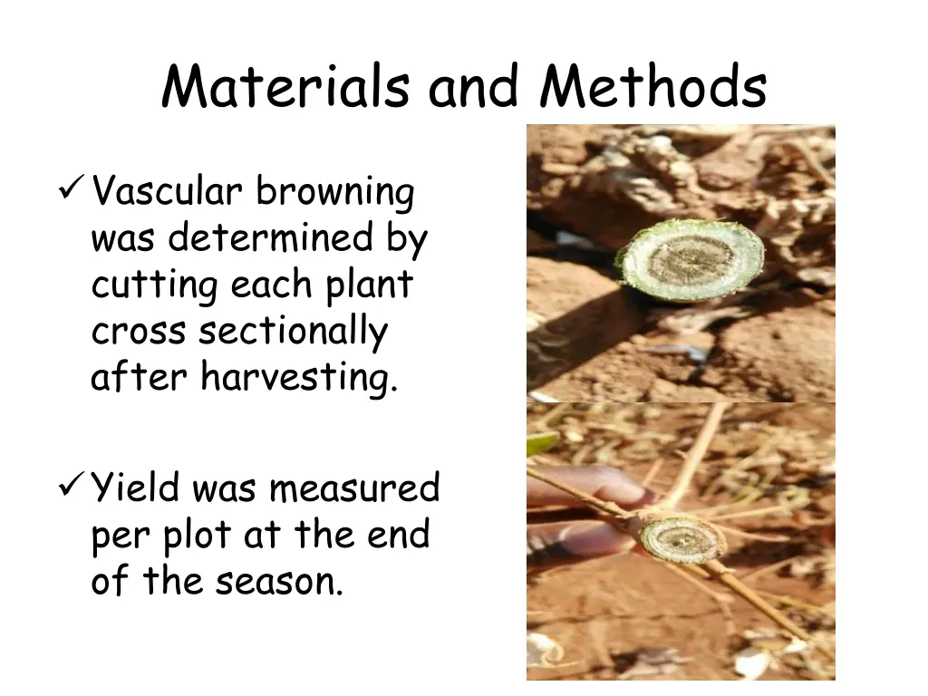 materials and methods 1