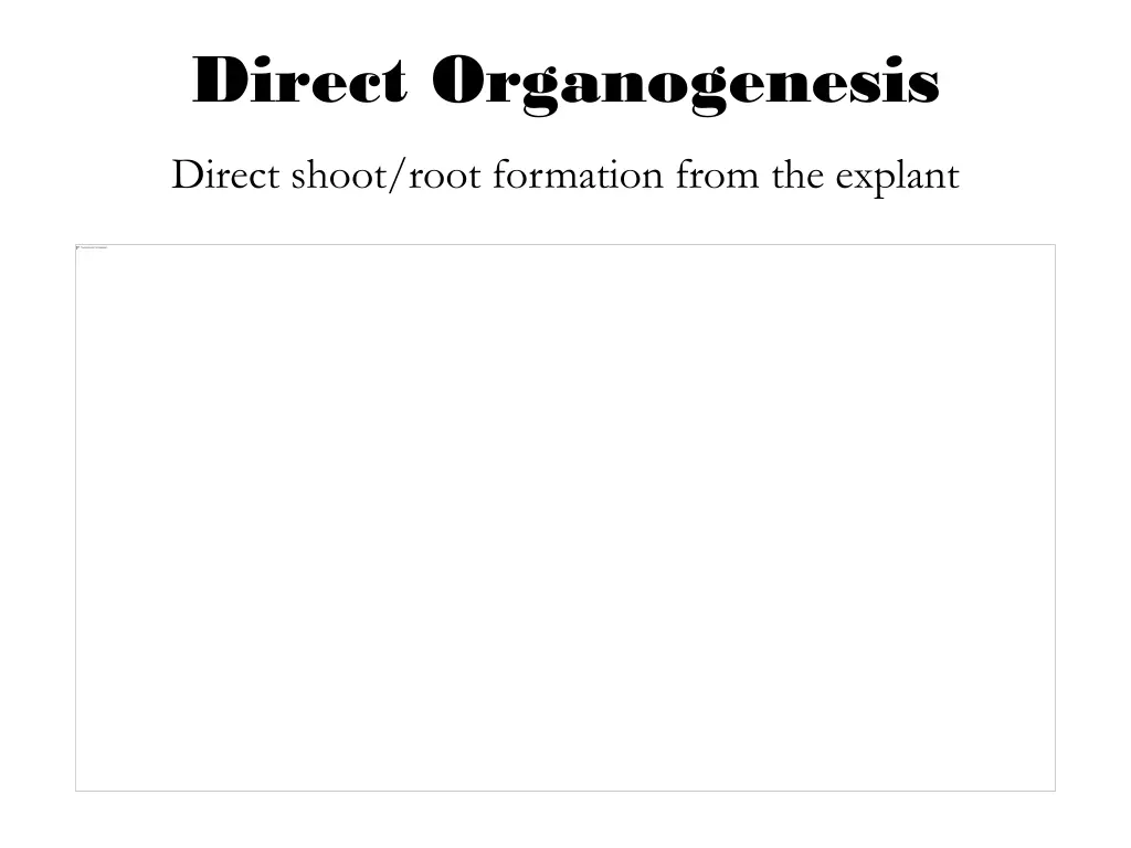 direct organogenesis