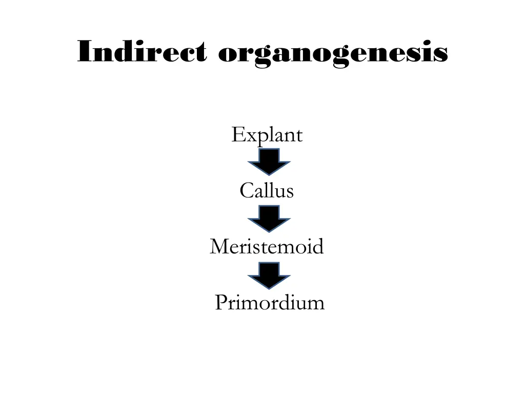 indirect organogenesis